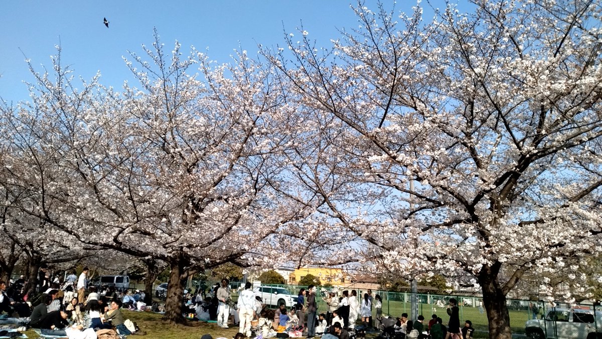 夏風RORO tweet media