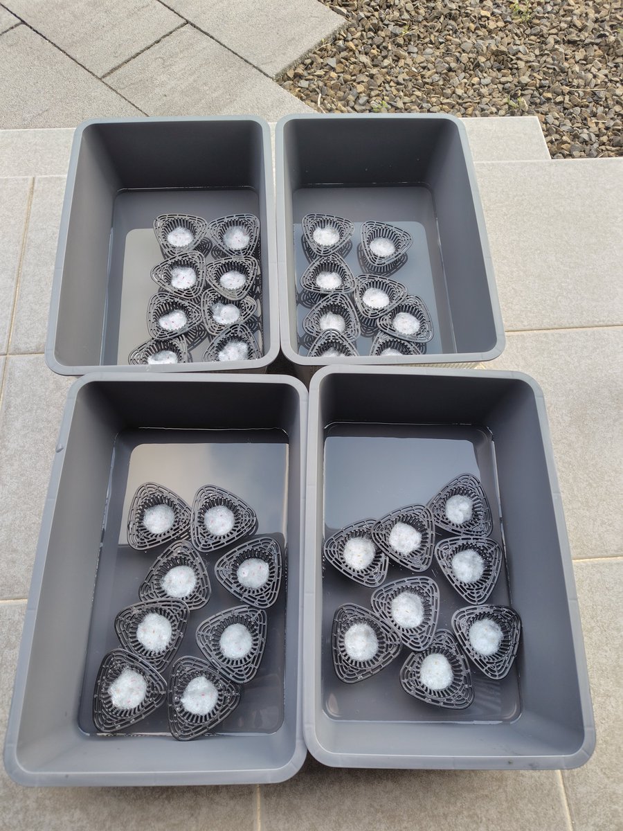 しまね tweet media