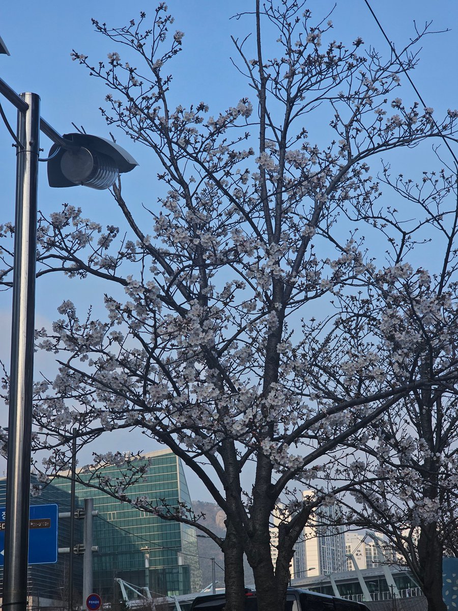 3월부코CO_10🐎세라비 tweet media