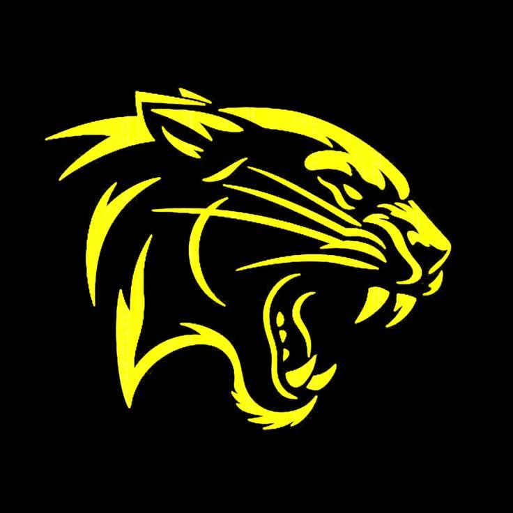 John Edwards tweet media