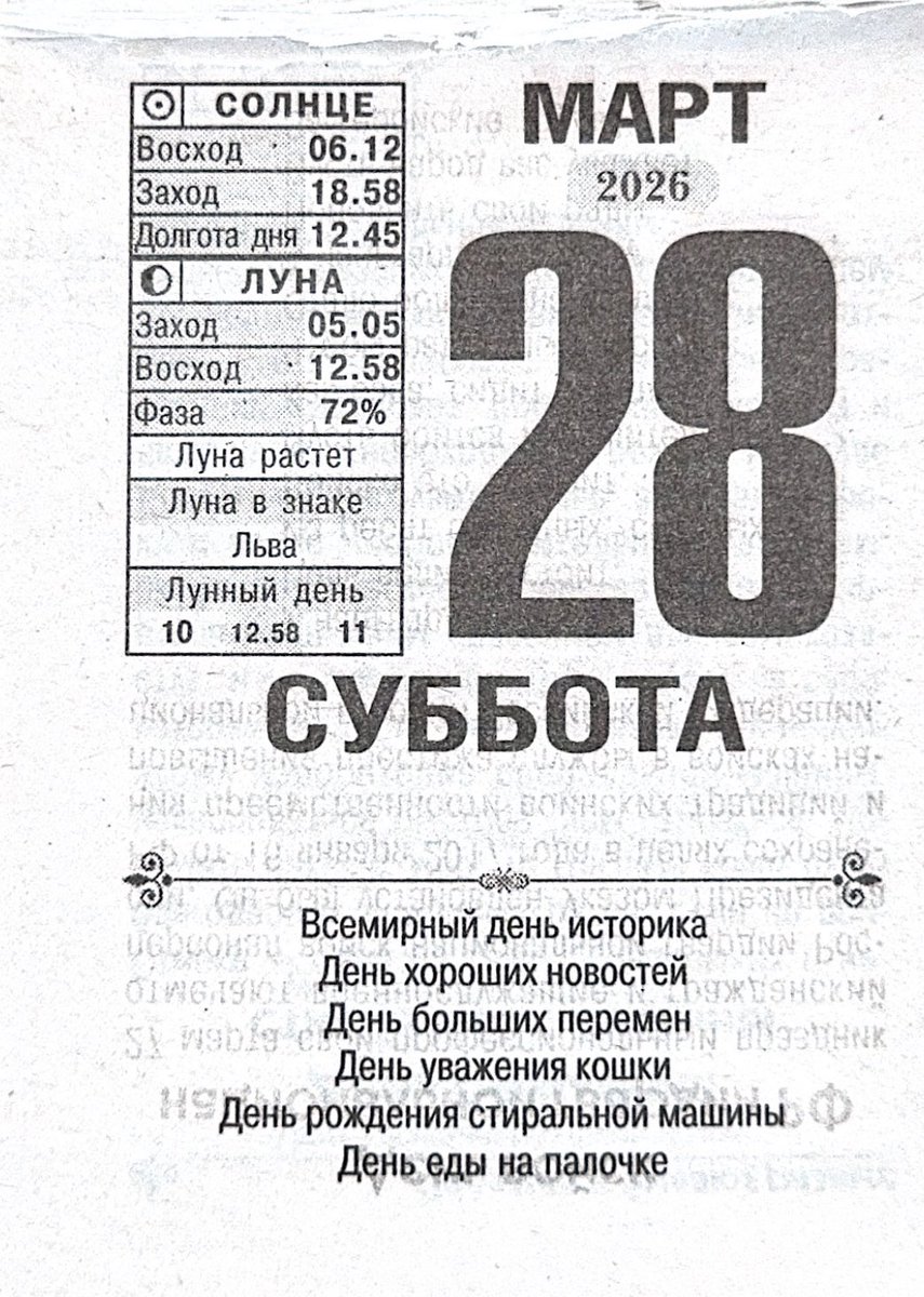 Следуй за сиреневым кроликом tweet media