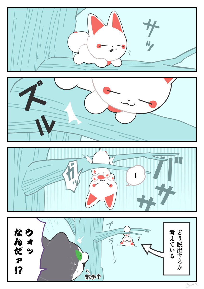 ヤシン tweet media