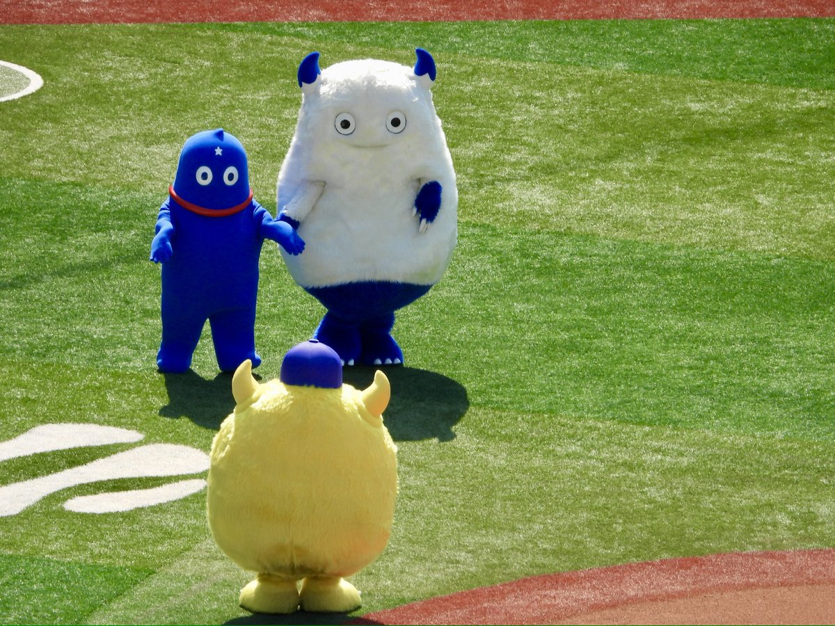 🟡🦭 tweet media