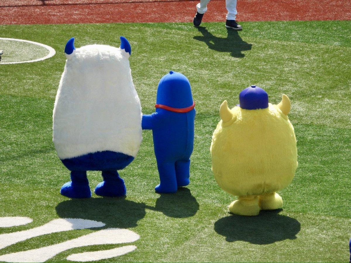 🟡🦭 tweet media