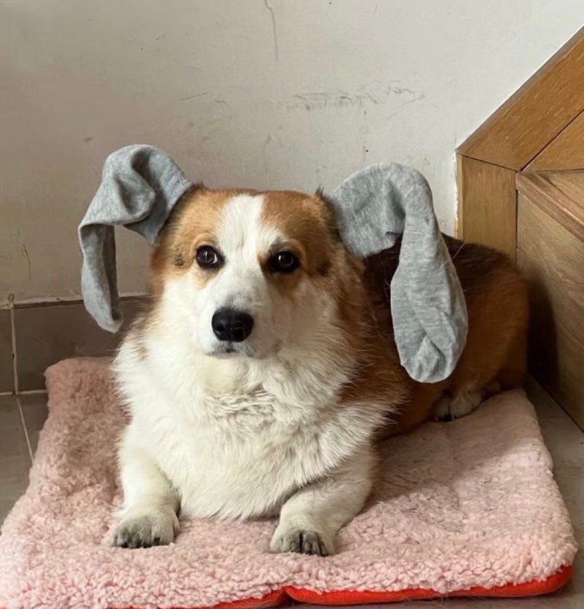 Πικρόχολη Γεροντοκόρη tweet media