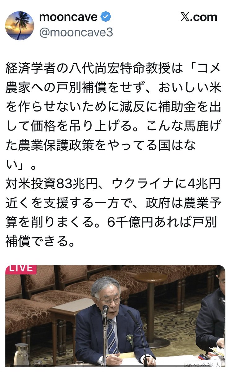 🦋mana🦋 tweet media