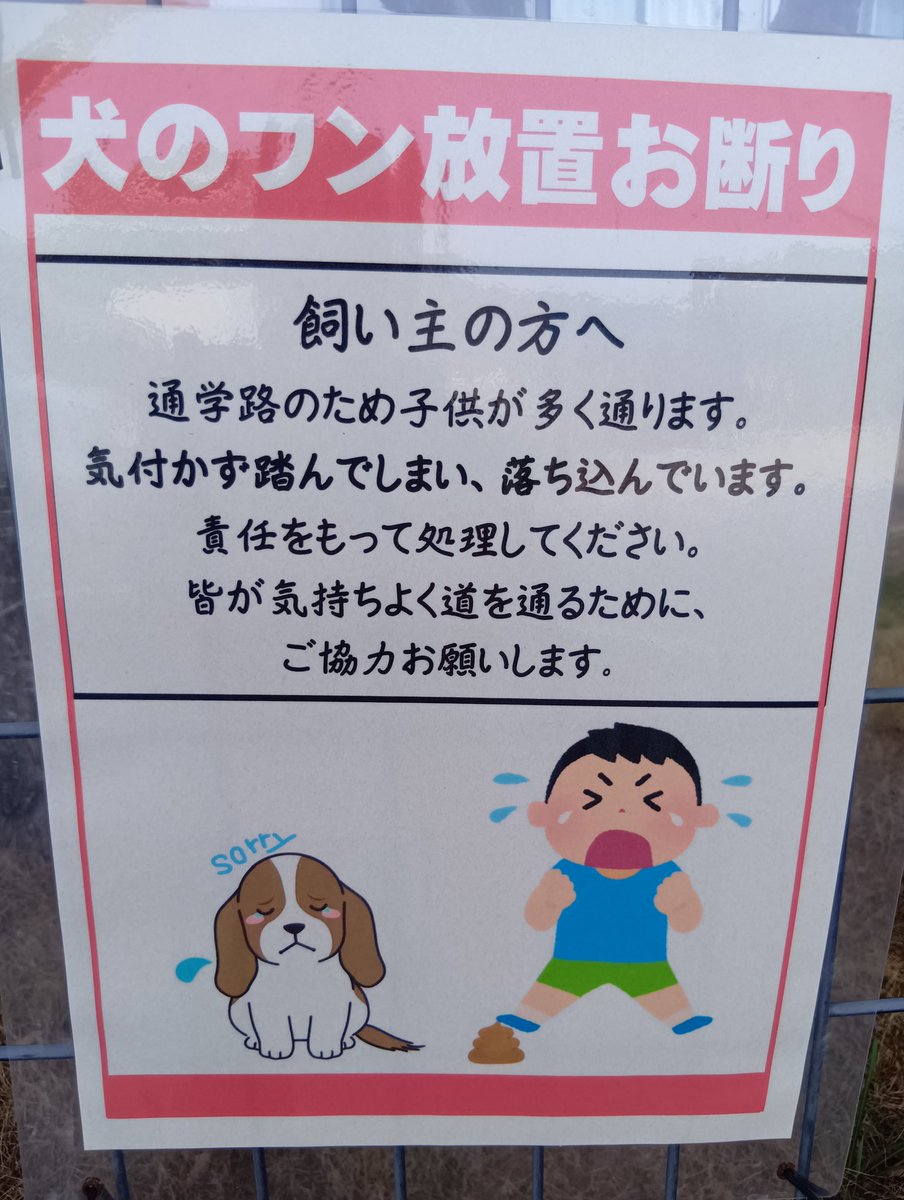 みっちぃ丼 tweet media