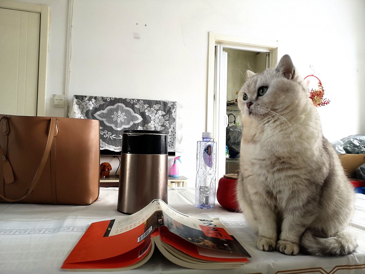 صٍۆفَيَ tweet media