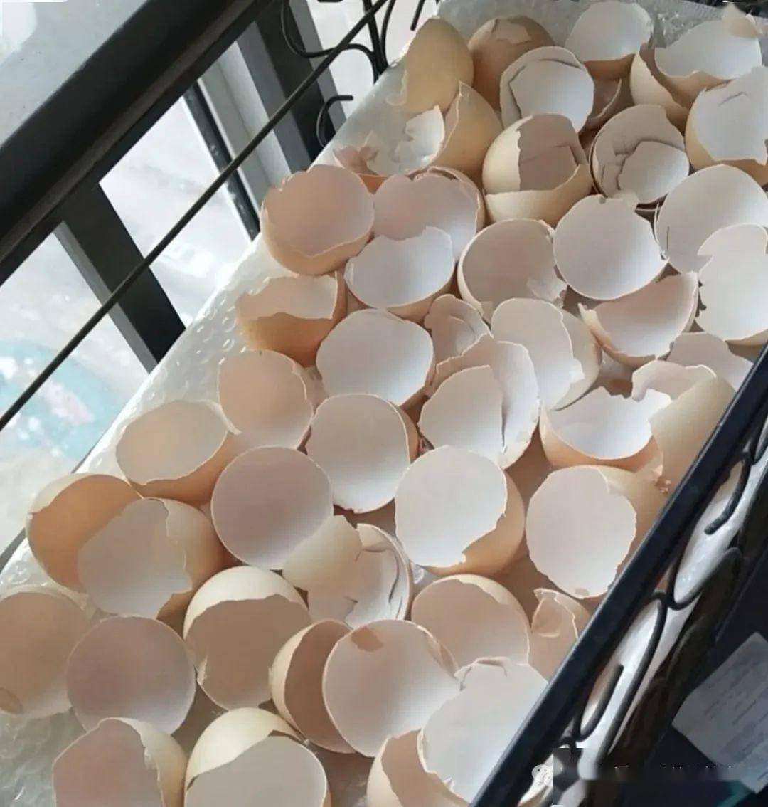 ADRIEN BOURG tweet media