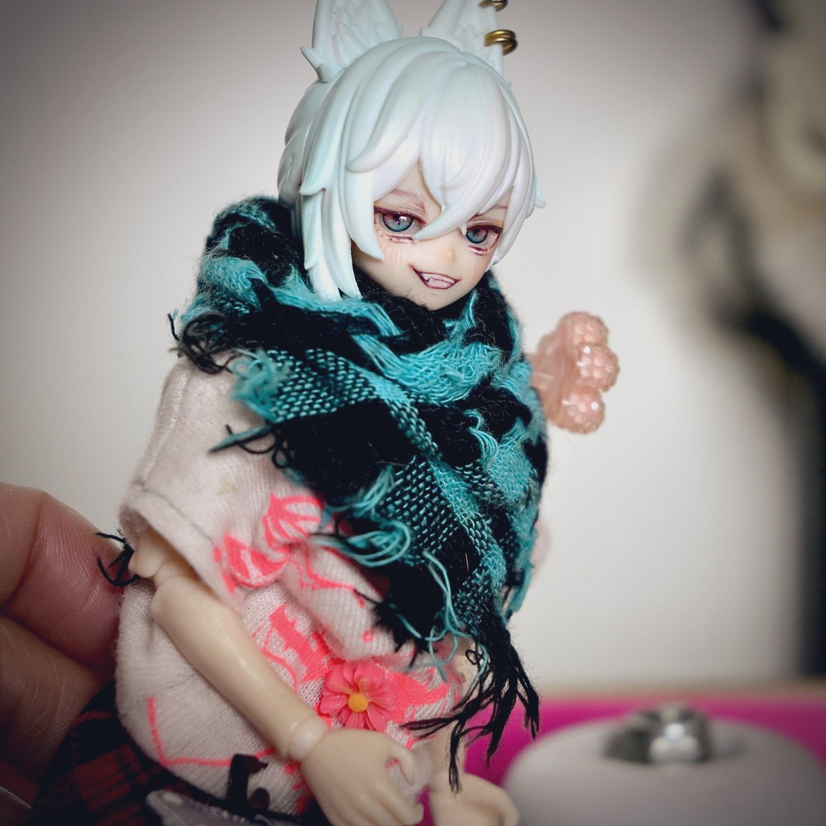 🐈𝖒𝖔𝖒𝖔𝖌𝖆 🐈 tweet media