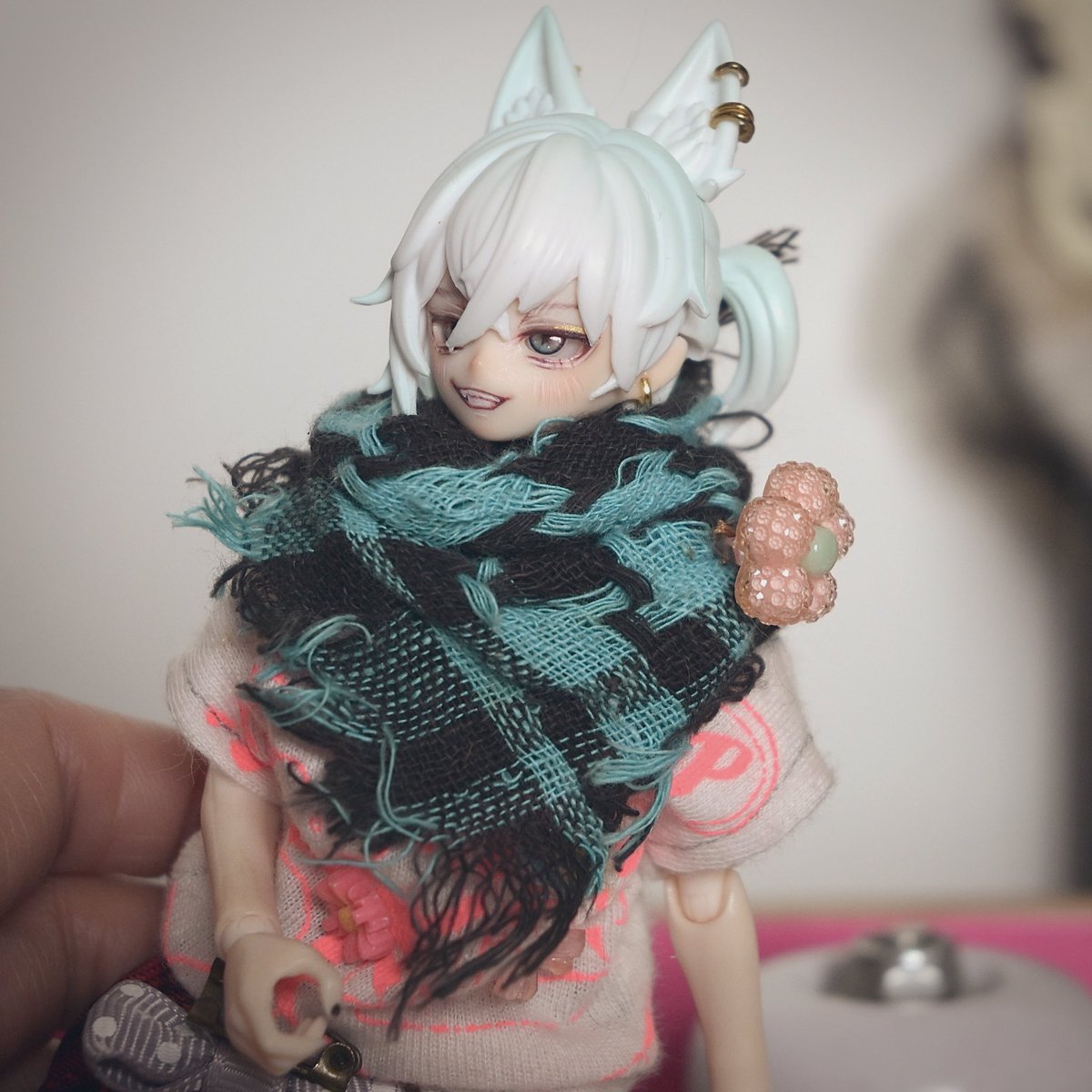 🐈𝖒𝖔𝖒𝖔𝖌𝖆 🐈 tweet media