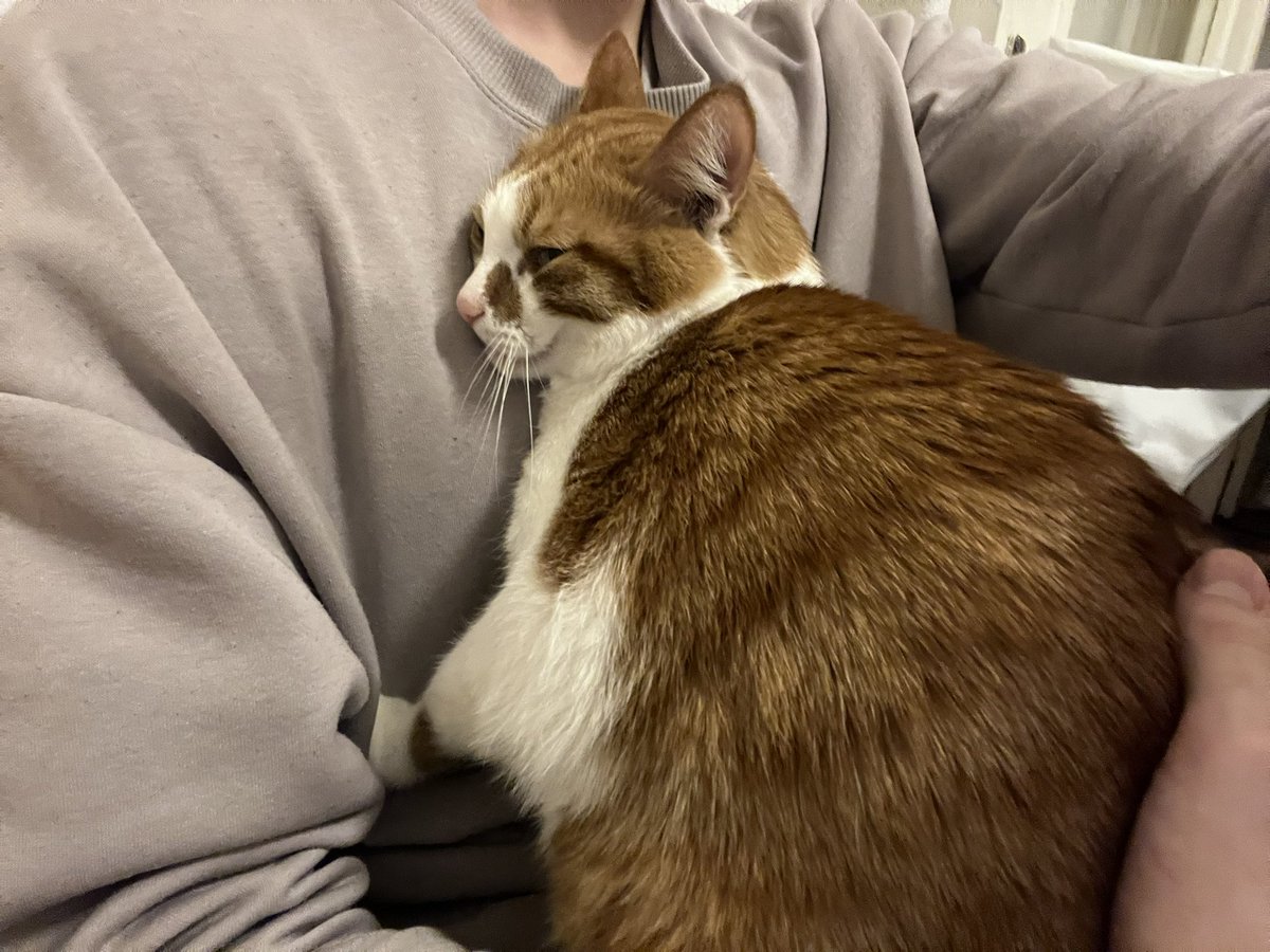 сербский район tweet media