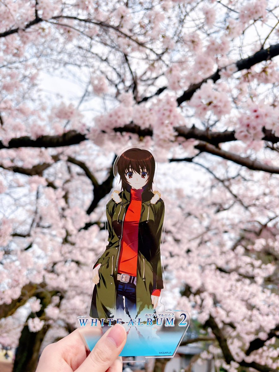 原野いぬ tweet media