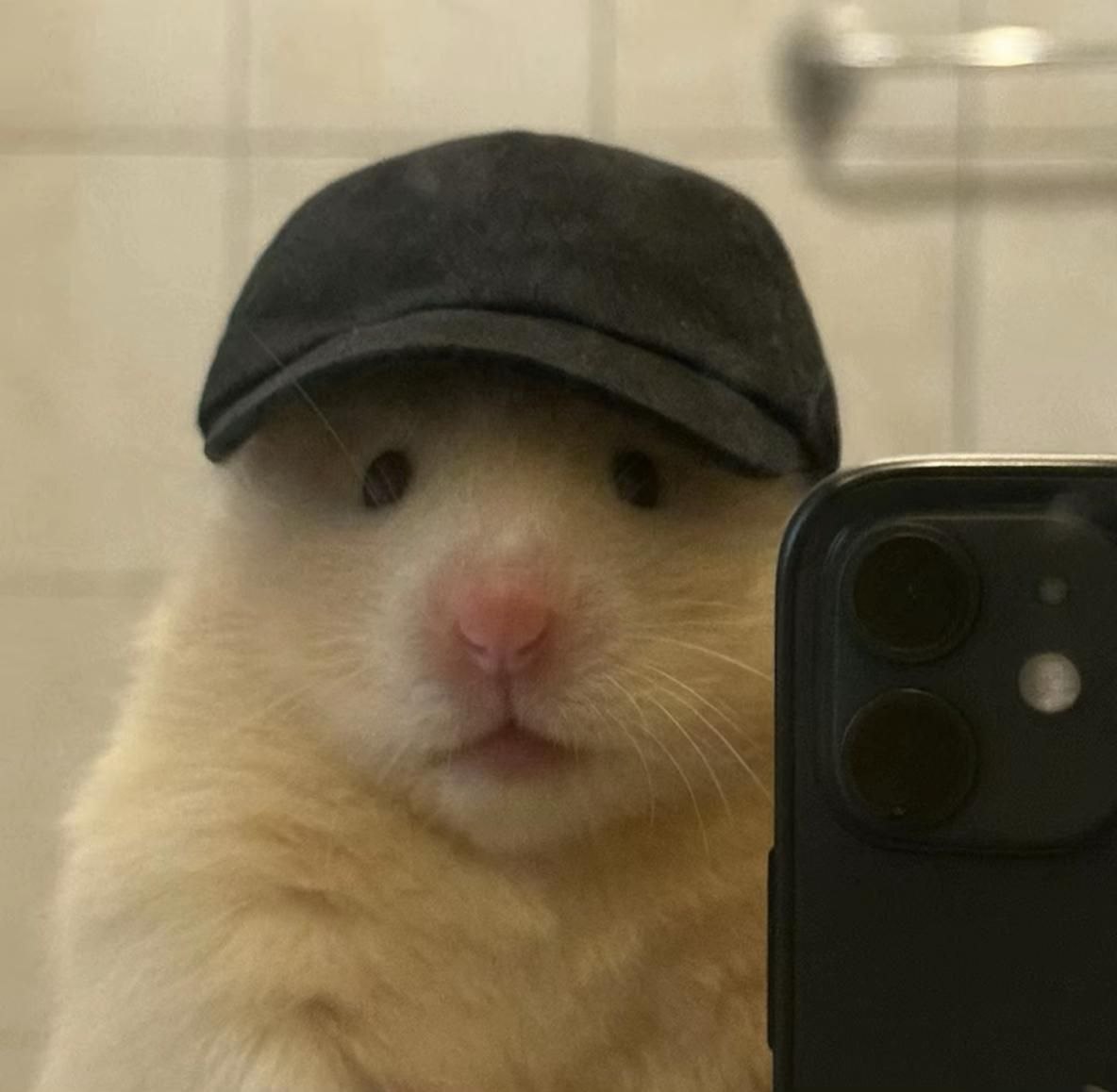 분리수거 tweet media