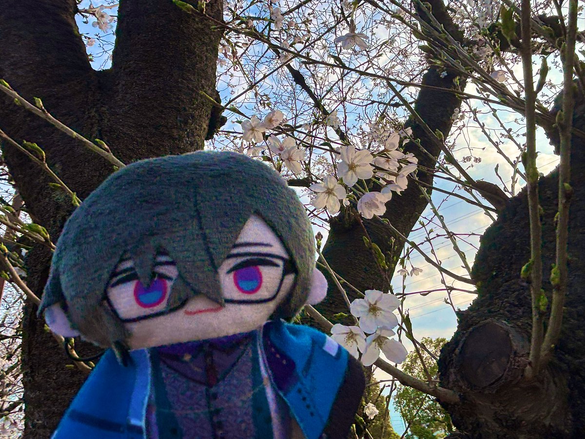 zero🌞 tweet media