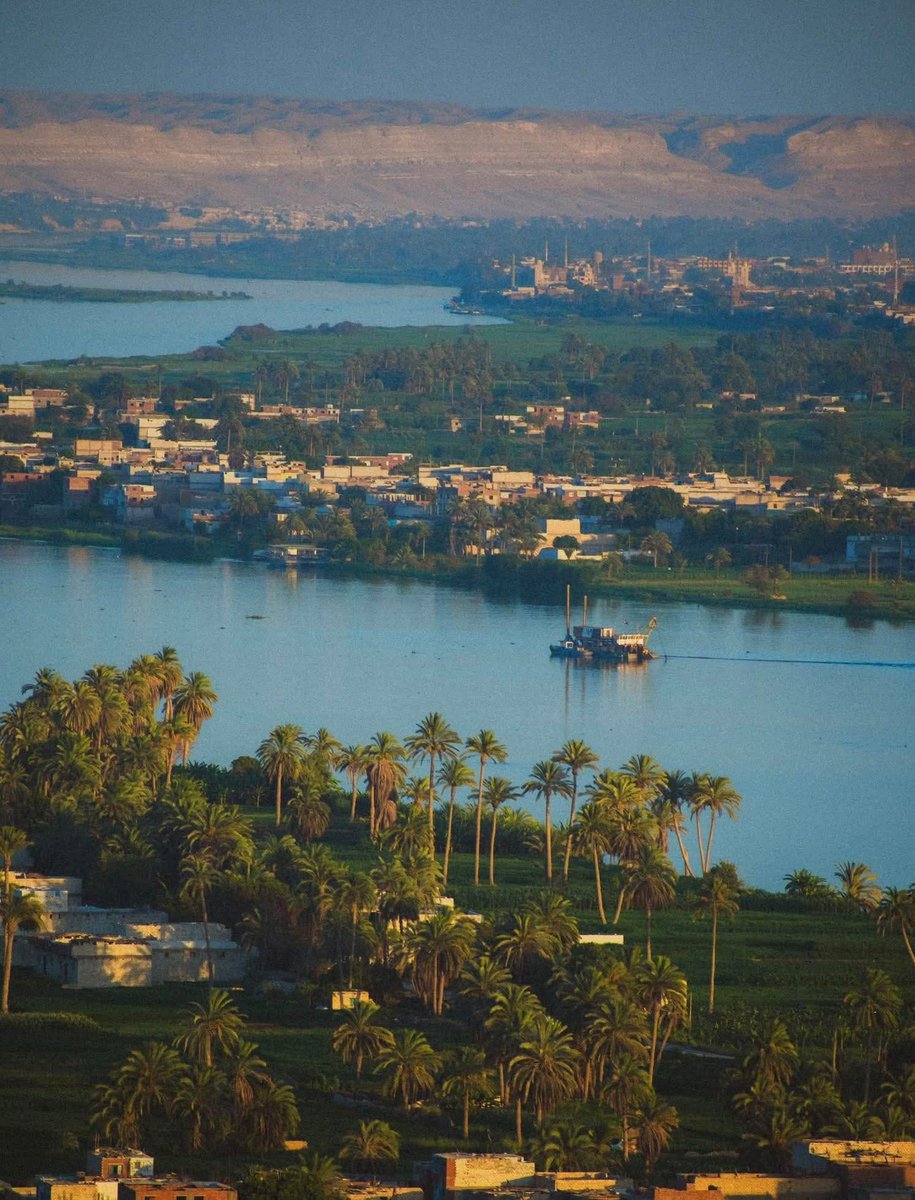 🇦🇹🏹على يوسف 🇦🇹🏹 tweet media