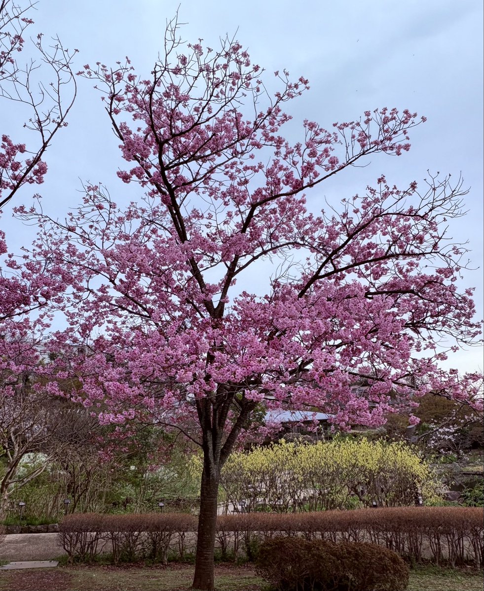 もと子 tweet media