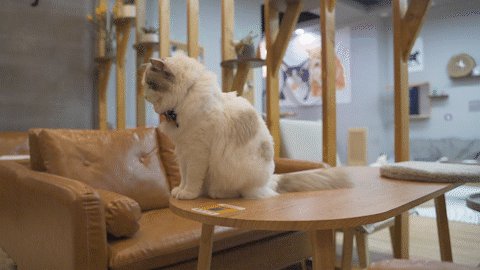 刘松江 tweet media