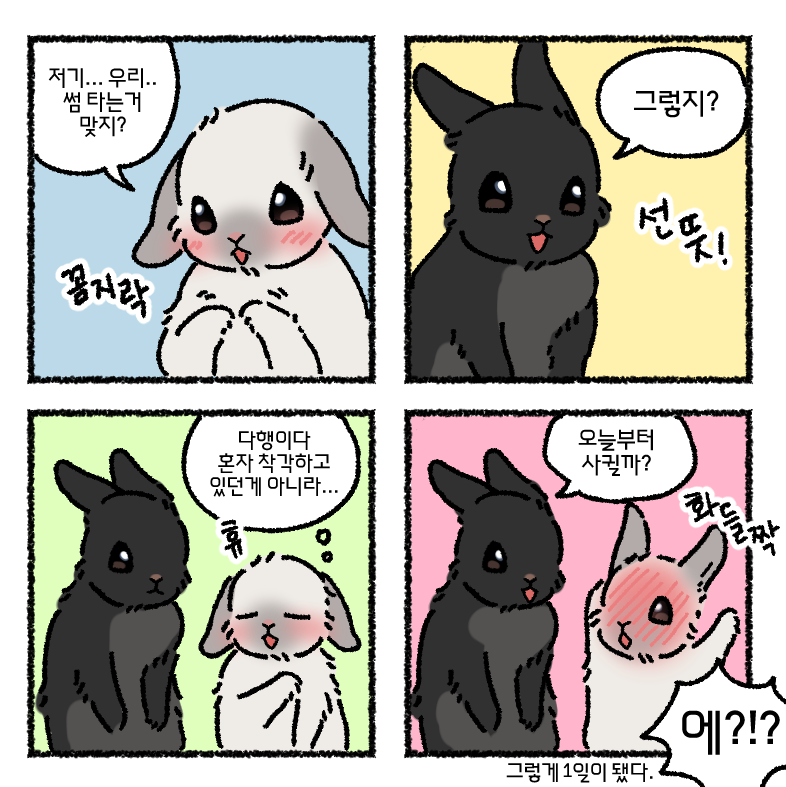 🍰 혼또 | 텀블벅 펀딩중! 🐇 tweet media