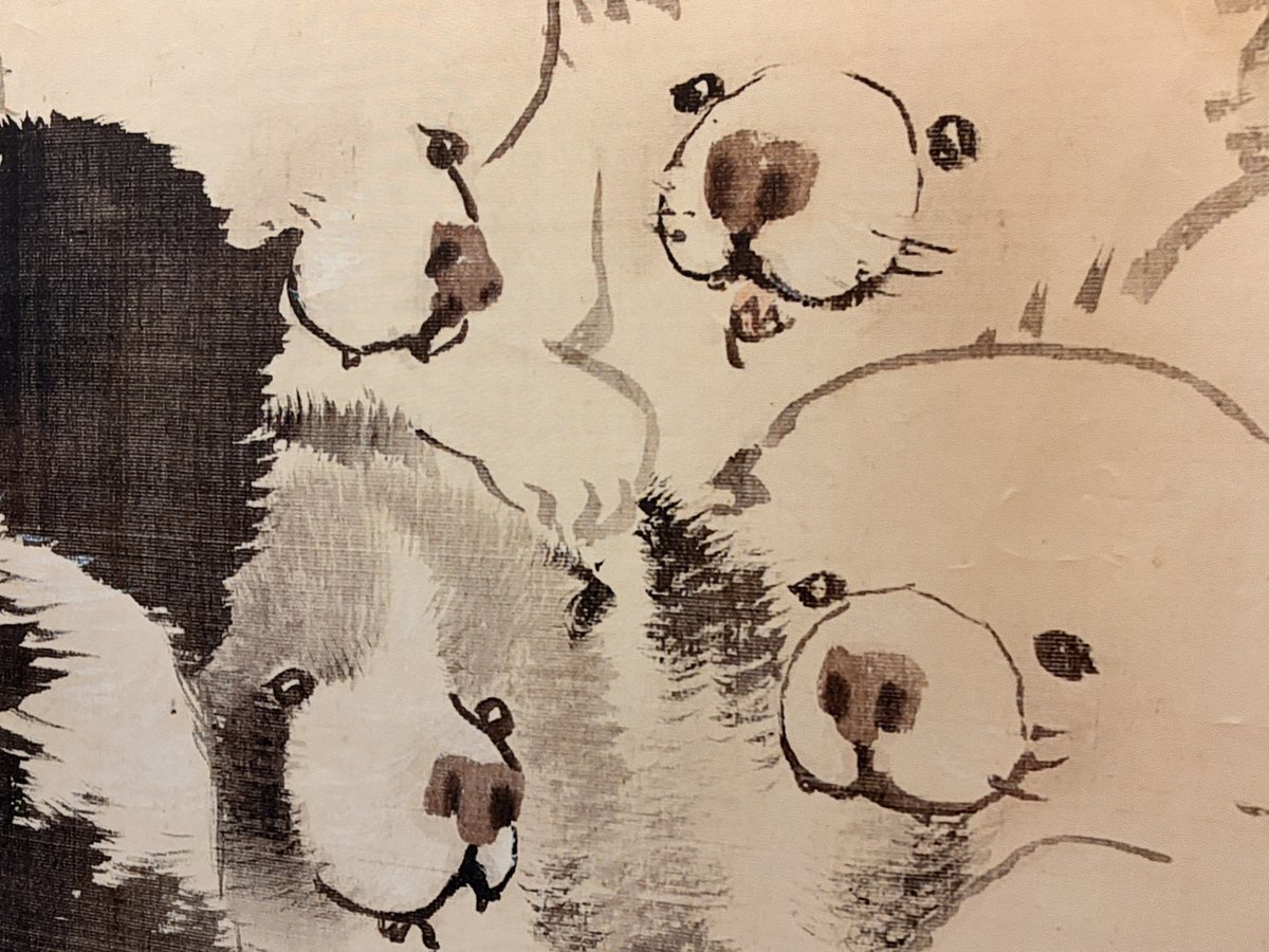 𓃰 𝕣𝕒𝕟 𓃰 フィルムで廃墟 tweet media