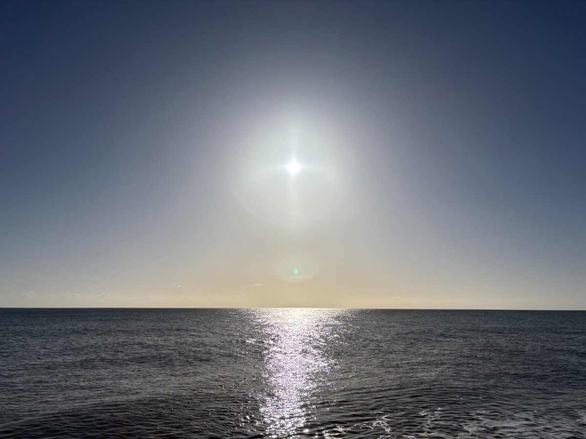 IPCallaway tweet media