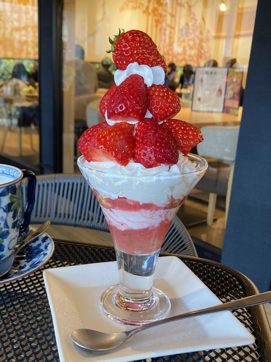 スキーモ tweet media