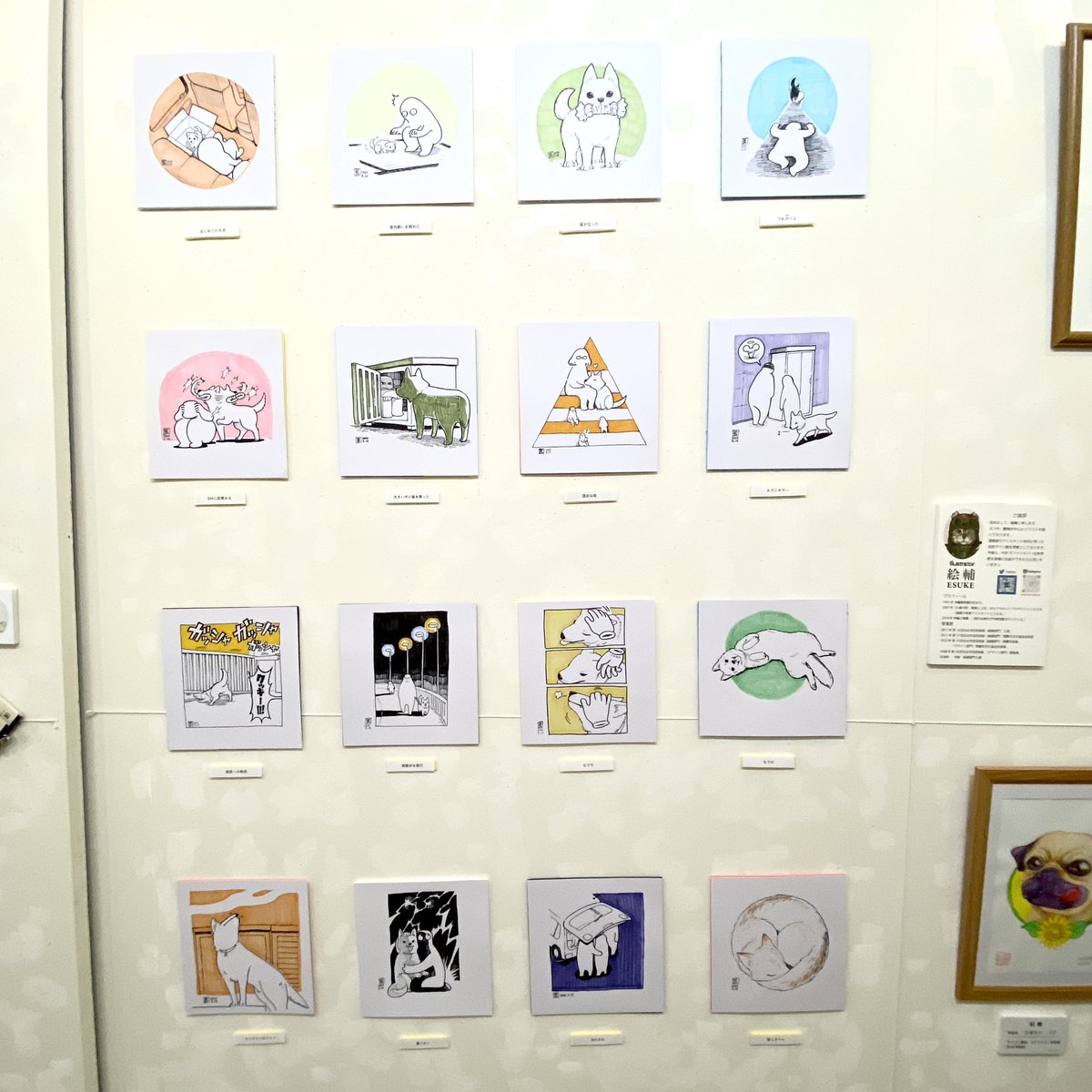 CURIOSITIES_shop&gallery tweet media