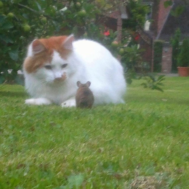 이강현 tweet media