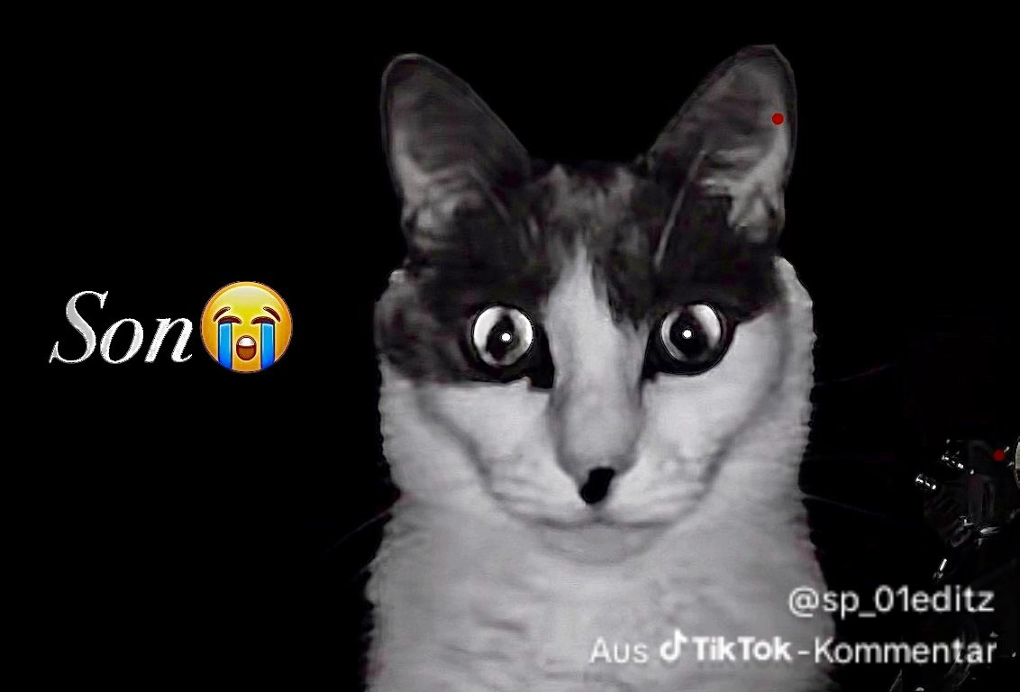 TrashG96 tweet media