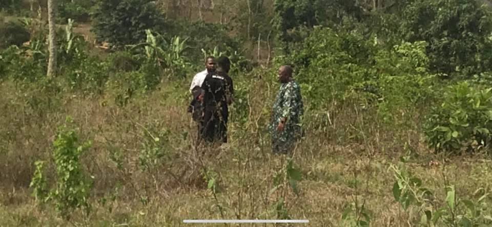 Olóyè Somorin Osifeso tweet media