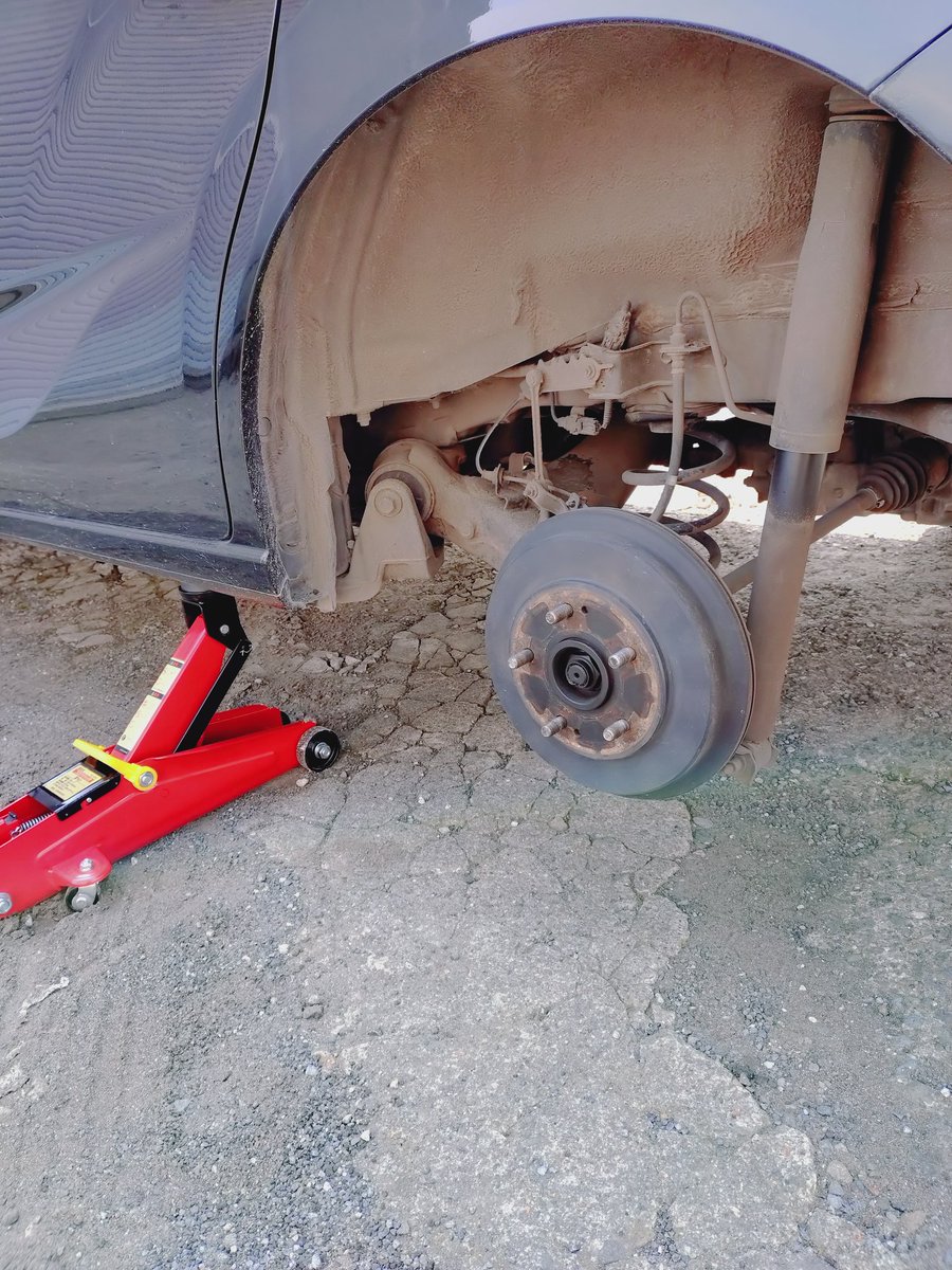 ⚜️キング⚜️ tweet media