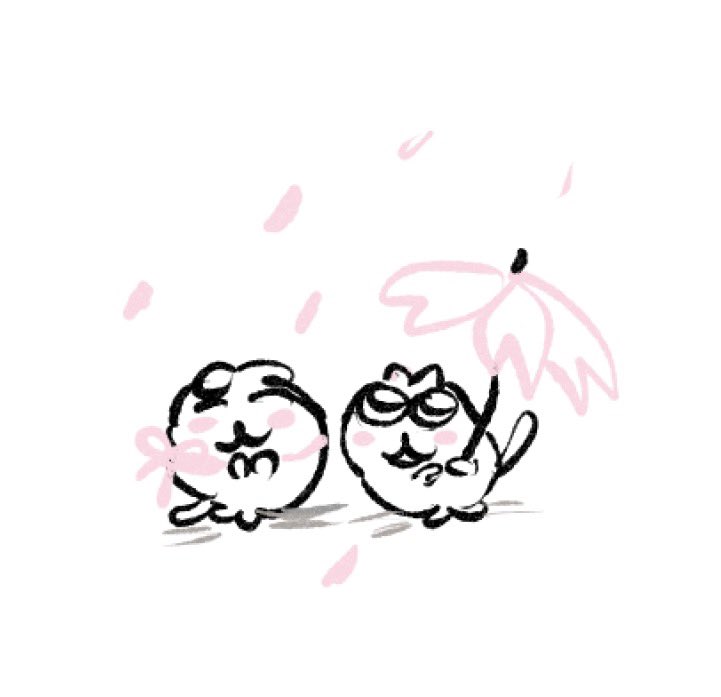 버터감자 tweet media