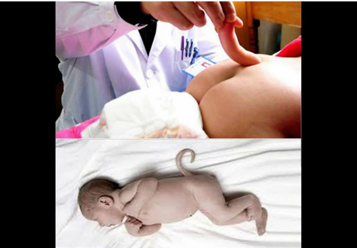 Blackgod☀️🌙⭐️ tweet media