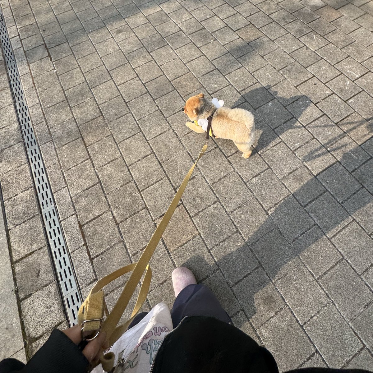 제로주 tweet media