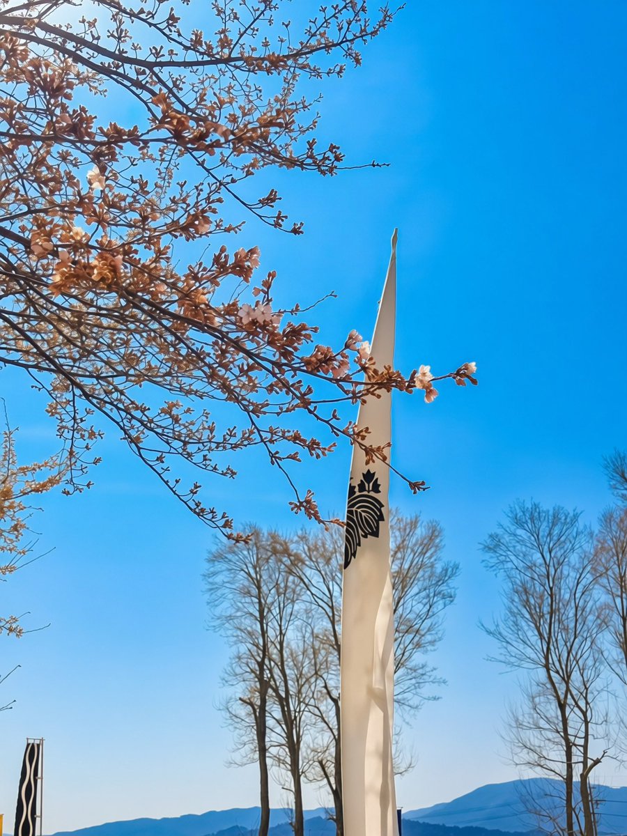 関ケ原観光情報 tweet media