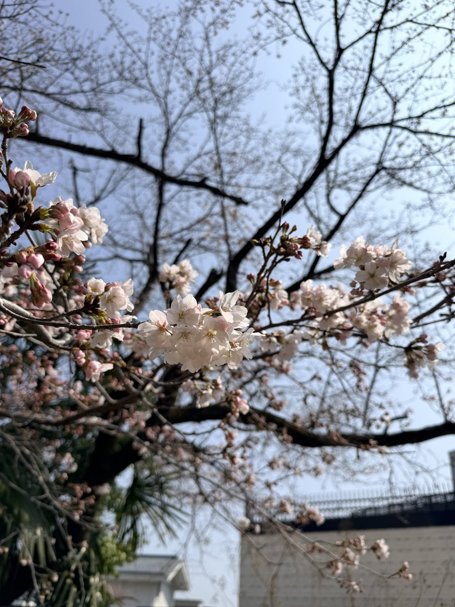 関ケ原観光情報 tweet media