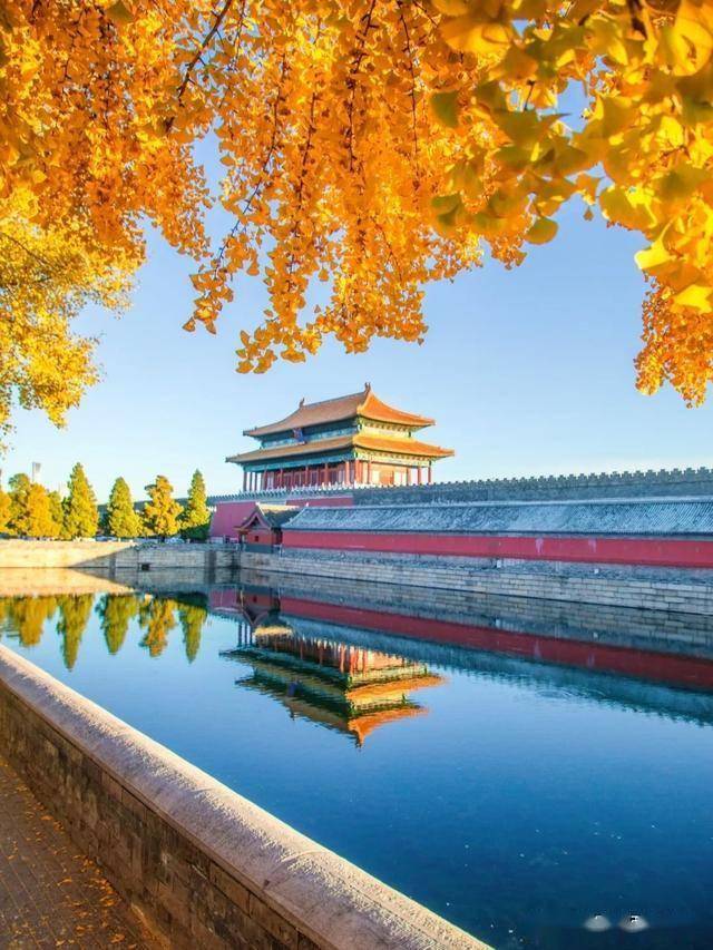 Dekor Kuckó tweet media