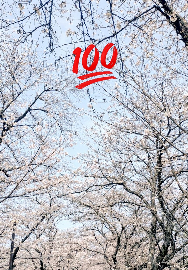 まこと。 tweet media