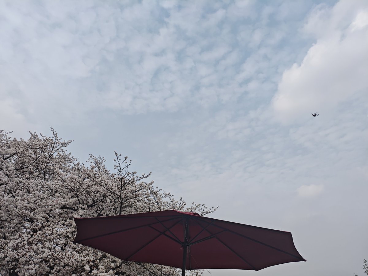 寒涟漪 tweet media