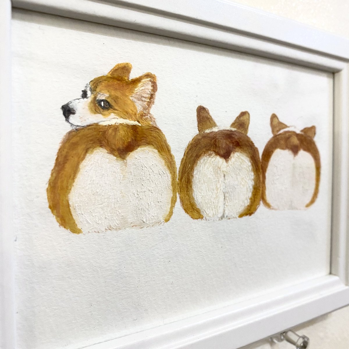 CURIOSITIES_shop&gallery tweet media