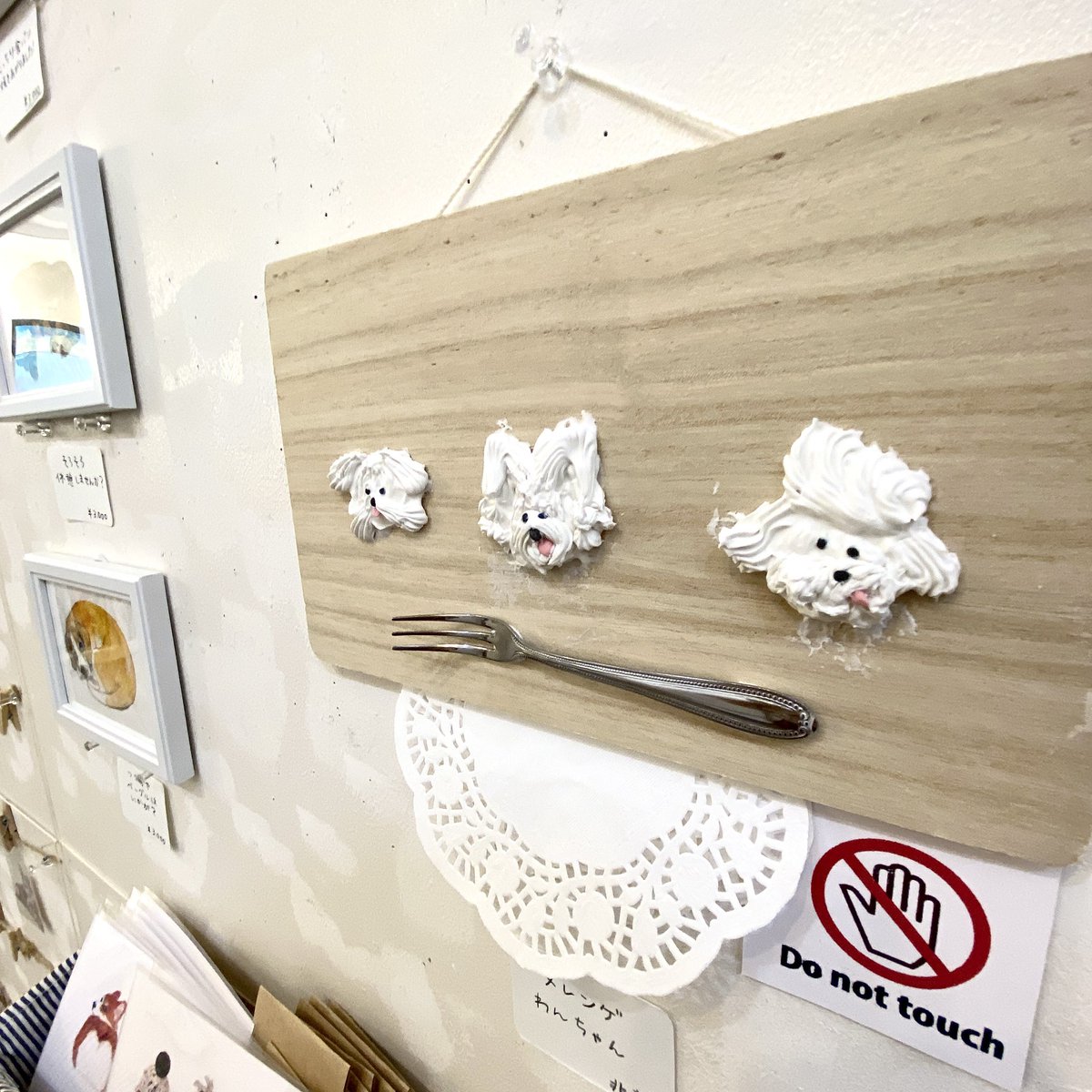 CURIOSITIES_shop&gallery tweet media