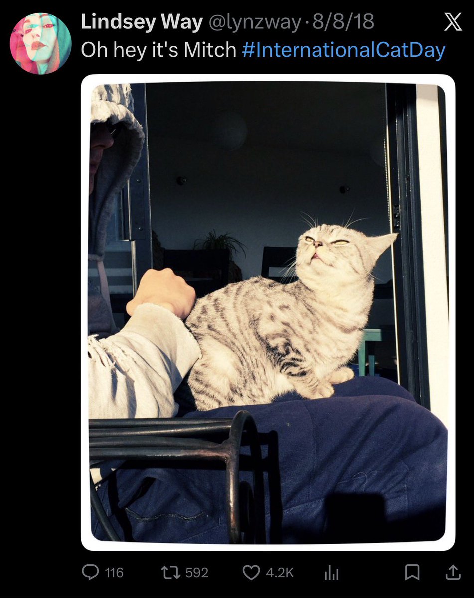 🦇Batty🦇 ᴛʜᴀᴛ 𝑭𝑬𝑹𝑵 🪴🚫 tweet media