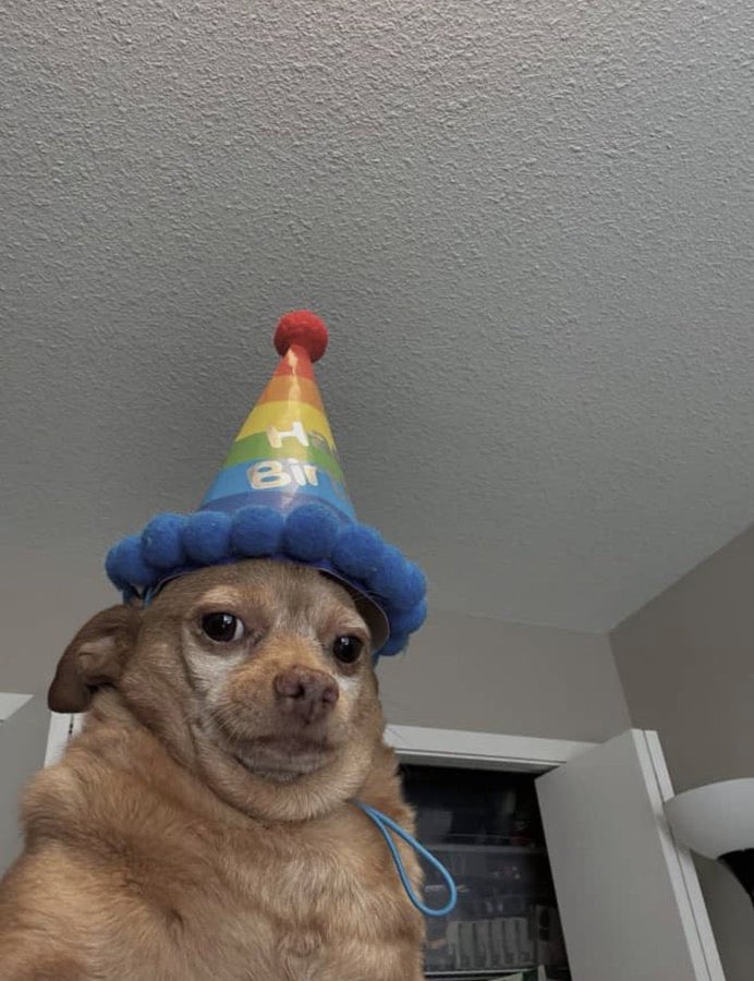 S I N Z U 👑 tweet media