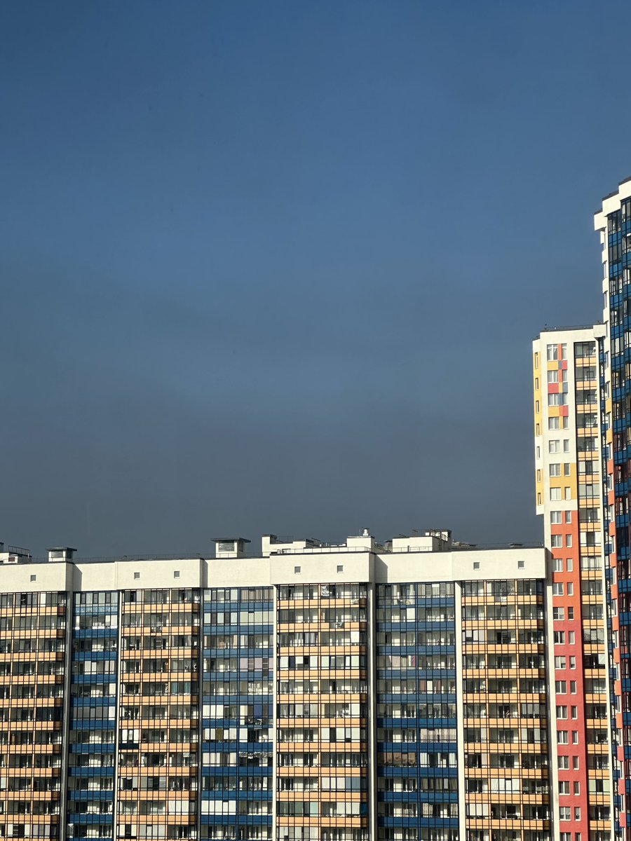 A 🐿️ tweet media