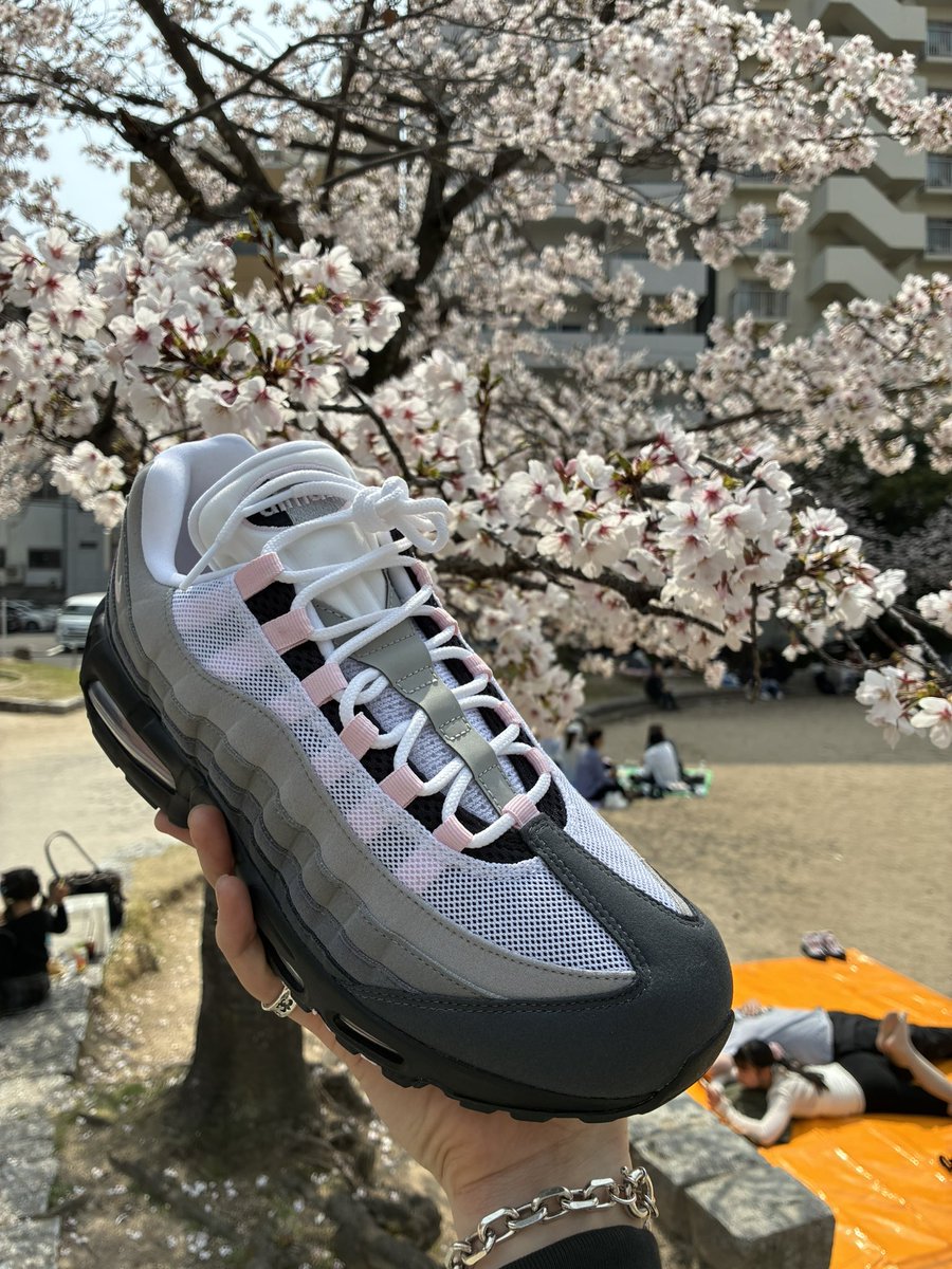 ナッツさん🦩 tweet media