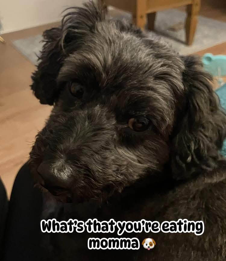 Sue Eacock🩵 tweet media