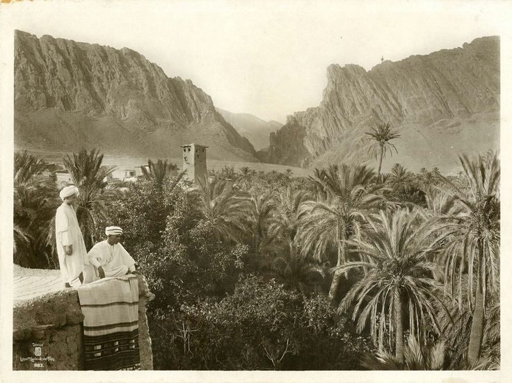 raïs 𖤓 tweet media