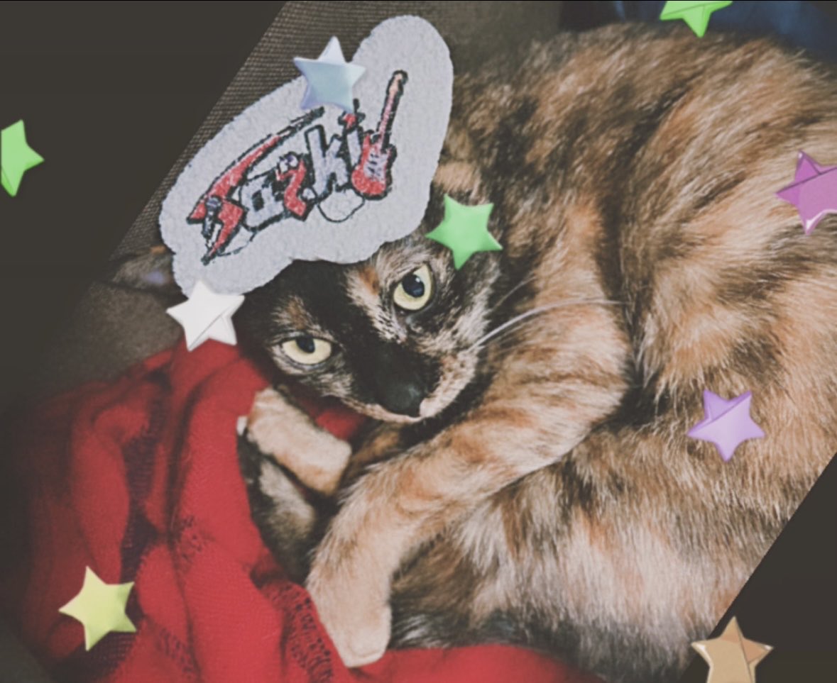 ʏᴇᴊᴜn ✴︎🛸 tweet media