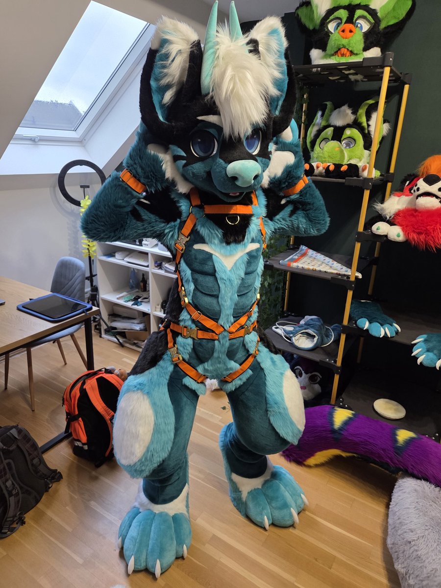 Dargo the Dragon tweet media