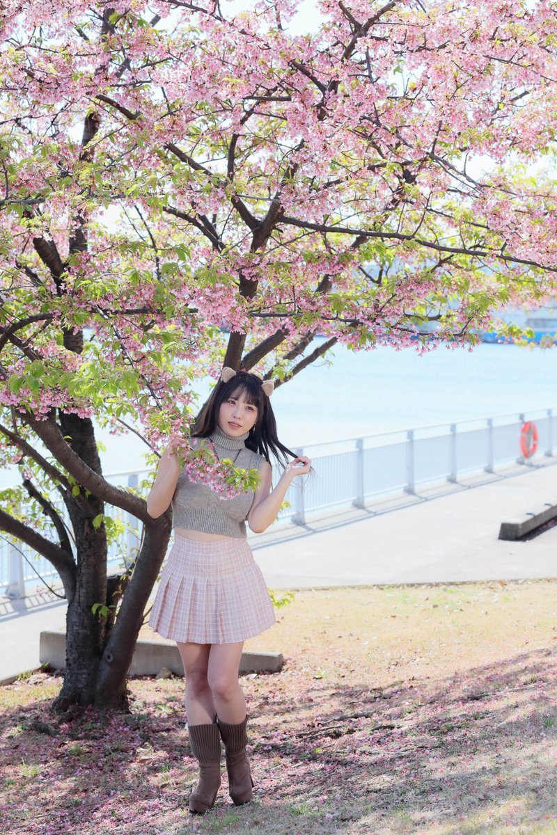 むねりん(烏賊) tweet media